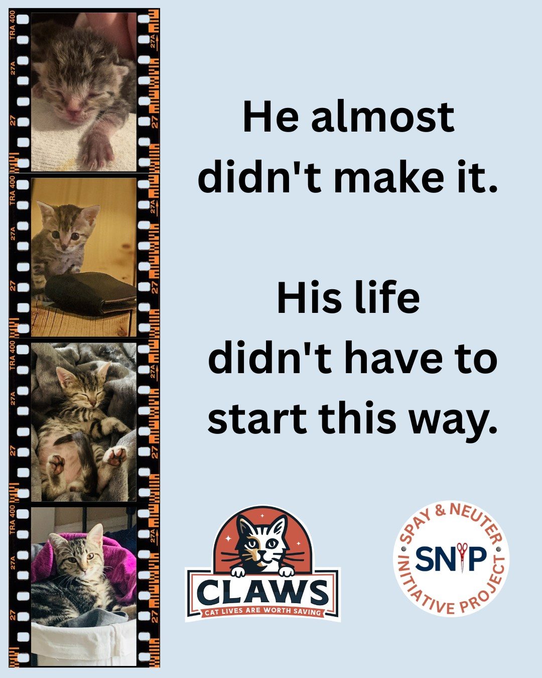 He almost didn't make it. His life didn't have to start this way. — film strip of a rescued kitten growing from newborn to healthy young cat